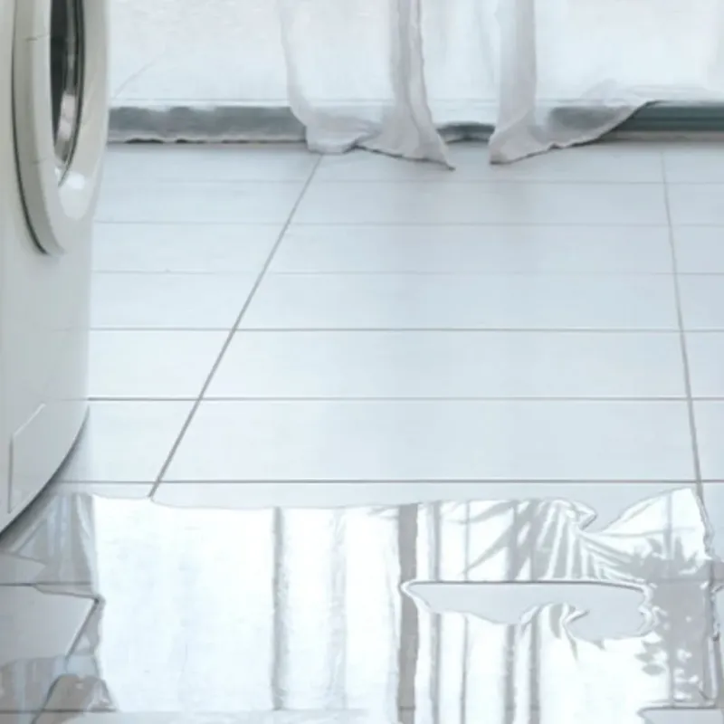 Appliance Leak Cleanup in Independence, MN