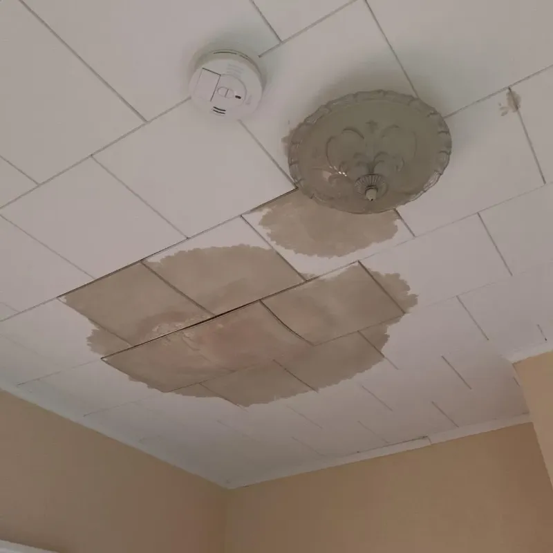 Ceiling Water Damage Repair in Independence, MN